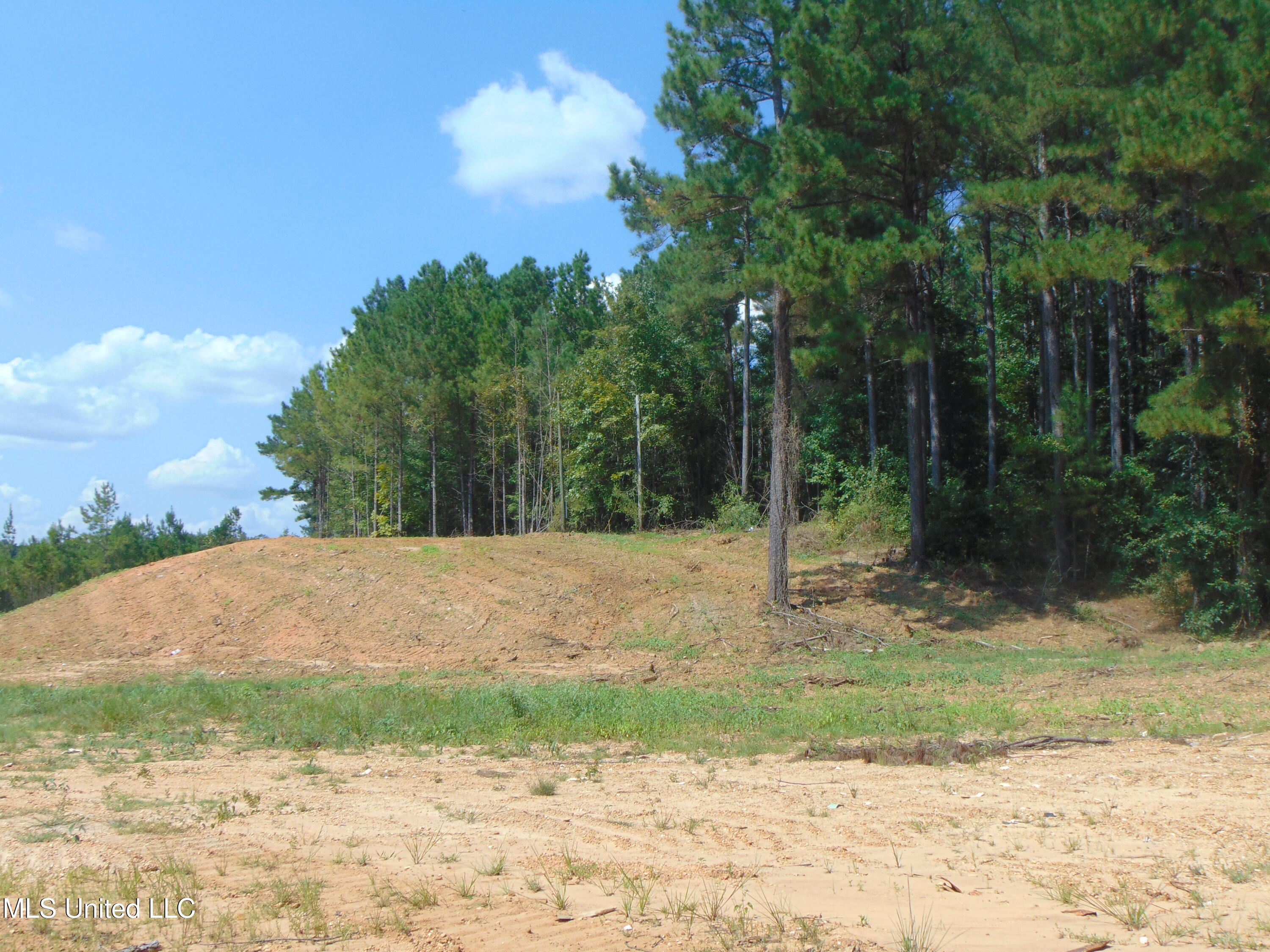David Britt Street Wesson, MS 39191 - Photo 17 of 42 DSC05315