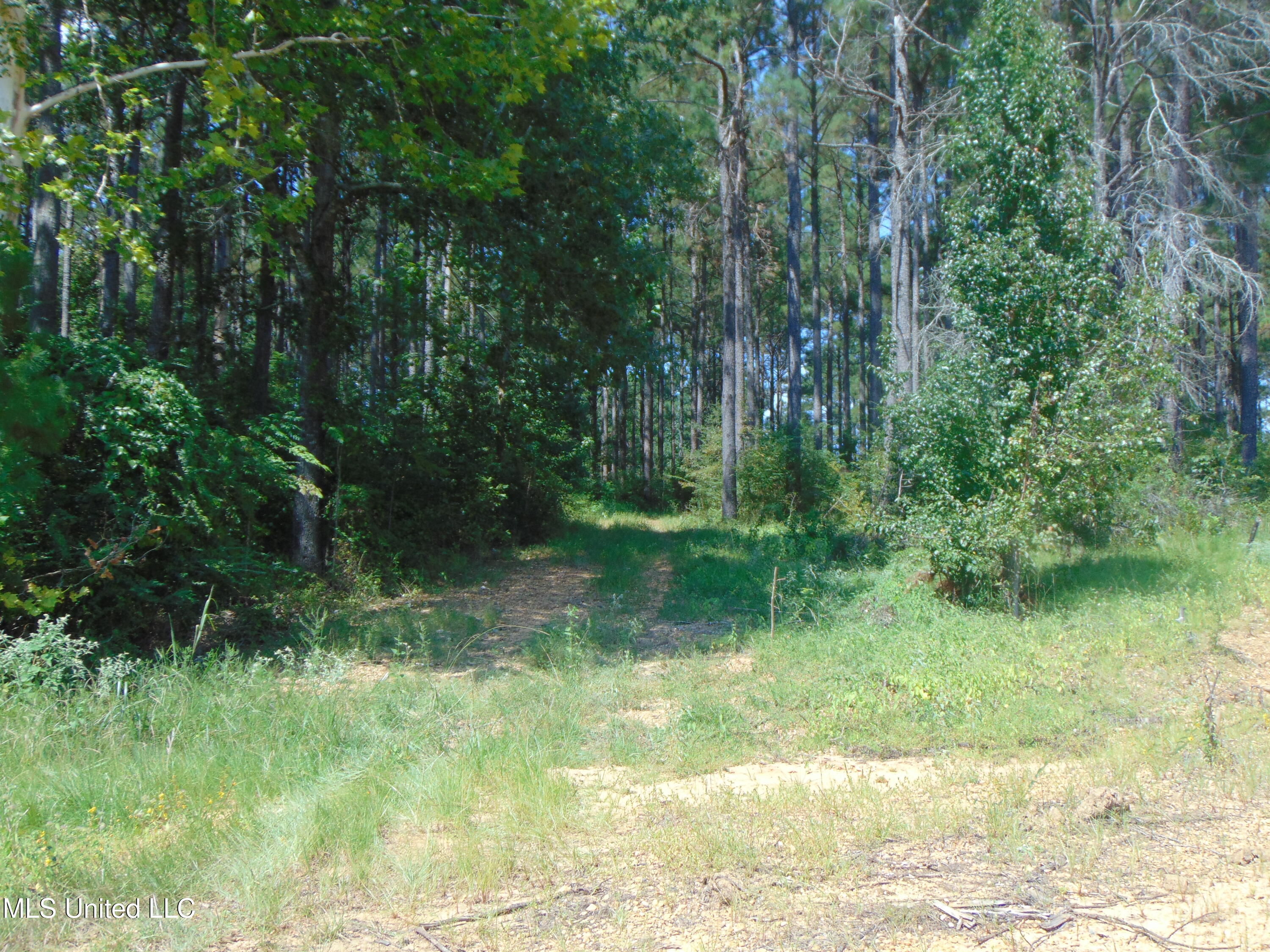 David Britt Street Wesson, MS 39191 - Photo 18 of 42 DSC05316