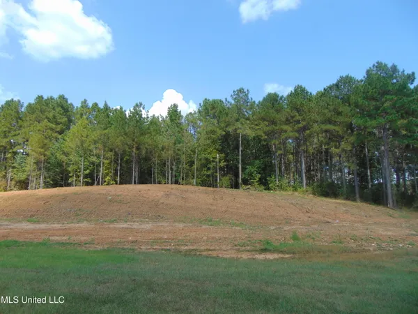 $210,000 | David Britt Street, Wesson, MS 39191