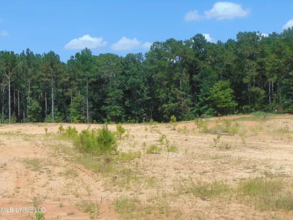 $210,000 | David Britt Street, Wesson, MS 39191
