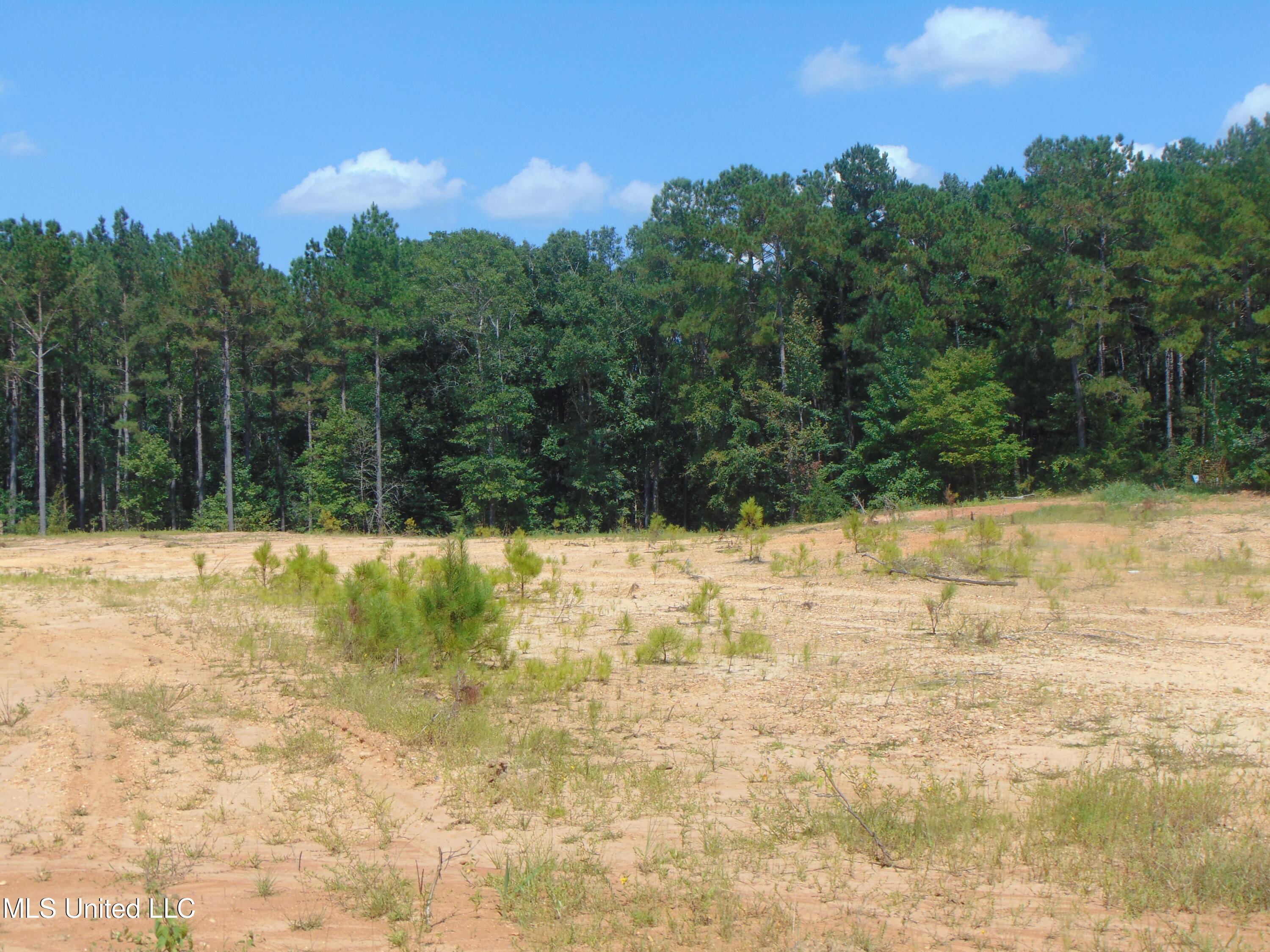 David Britt Street Wesson, MS 39191 - Photo 23 of 42 DSC05325