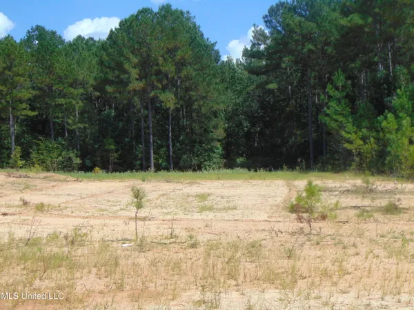 $210,000 | David Britt Street, Wesson, MS 39191