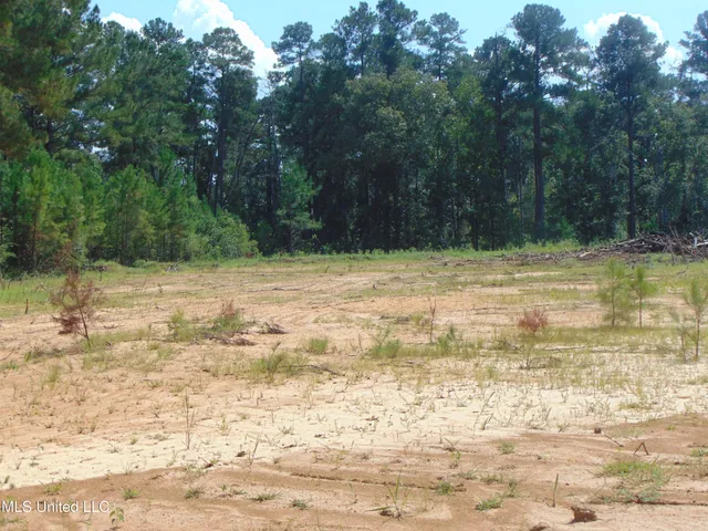 $210,000 | David Britt Street, Wesson, MS 39191