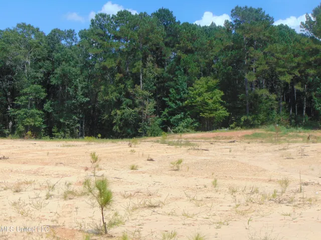 $210,000 | David Britt Street, Wesson, MS 39191