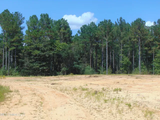 $210,000 | David Britt Street, Wesson, MS 39191