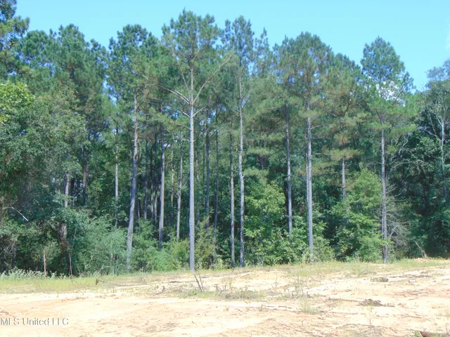 $210,000 | David Britt Street, Wesson, MS 39191