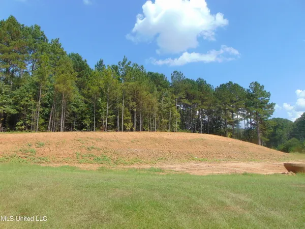 $210,000 | David Britt Street, Wesson, MS 39191