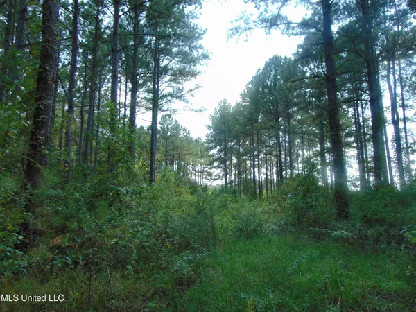 $210,000 | David Britt Street, Wesson, MS 39191
