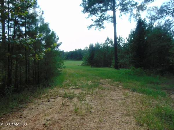 $210,000 | David Britt Street, Wesson, MS 39191