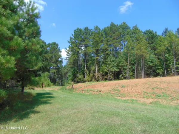 $210,000 | David Britt Street, Wesson, MS 39191