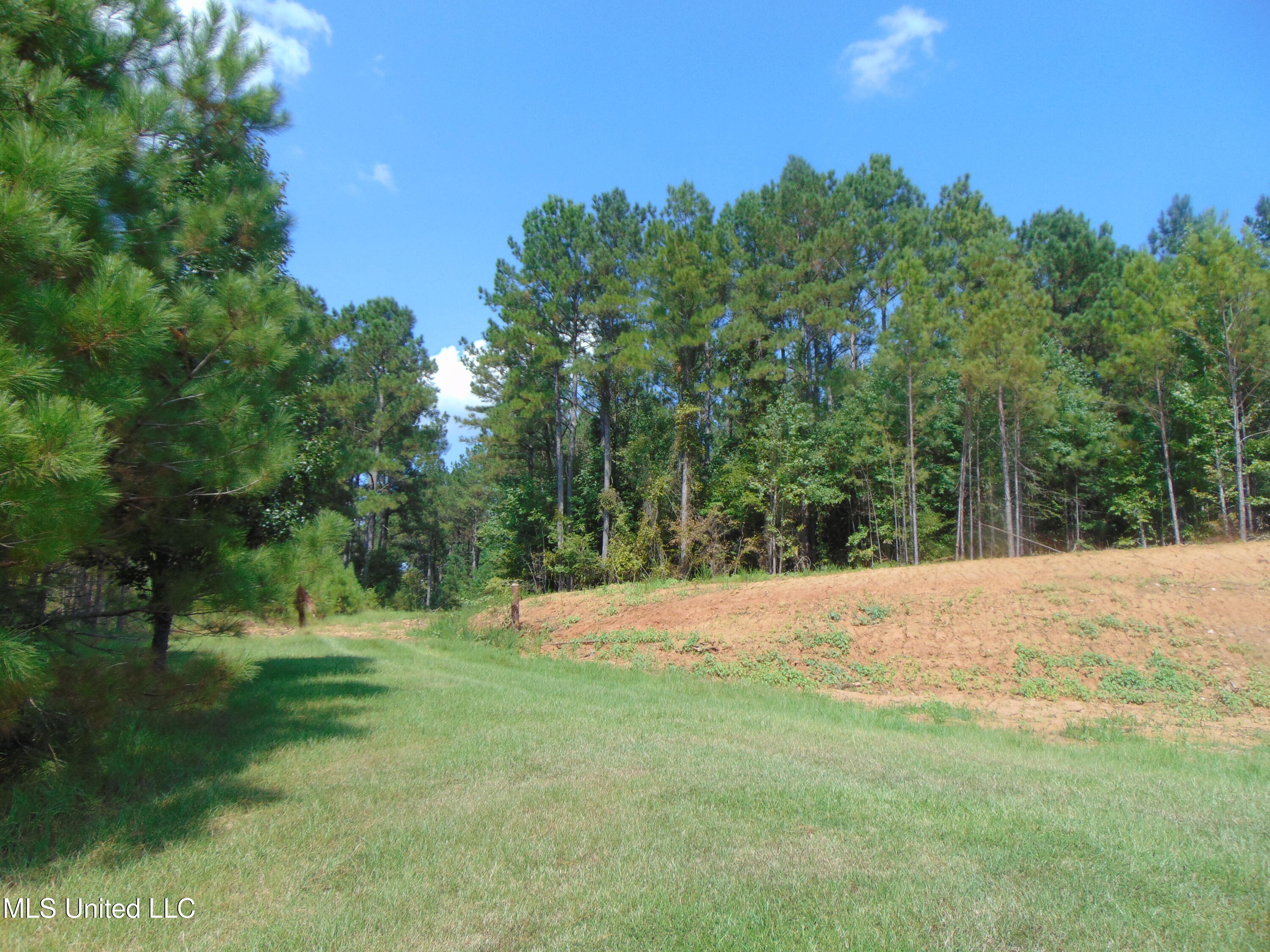 David Britt Street Wesson, MS 39191 - Photo 4 of 42 DSC05345