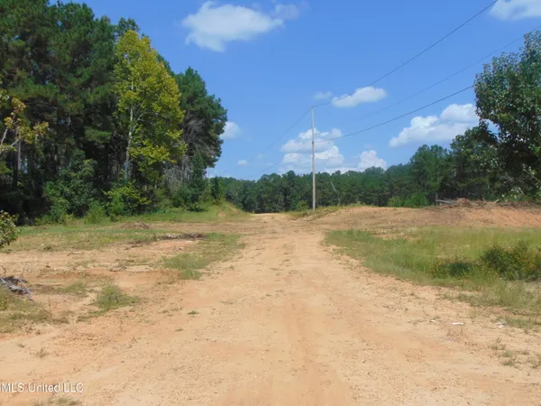 $210,000 | David Britt Street, Wesson, MS 39191