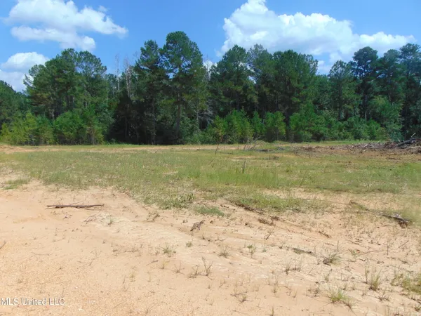 $210,000 | David Britt Street, Wesson, MS 39191
