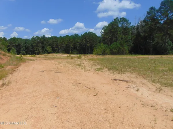 $210,000 | David Britt Street, Wesson, MS 39191