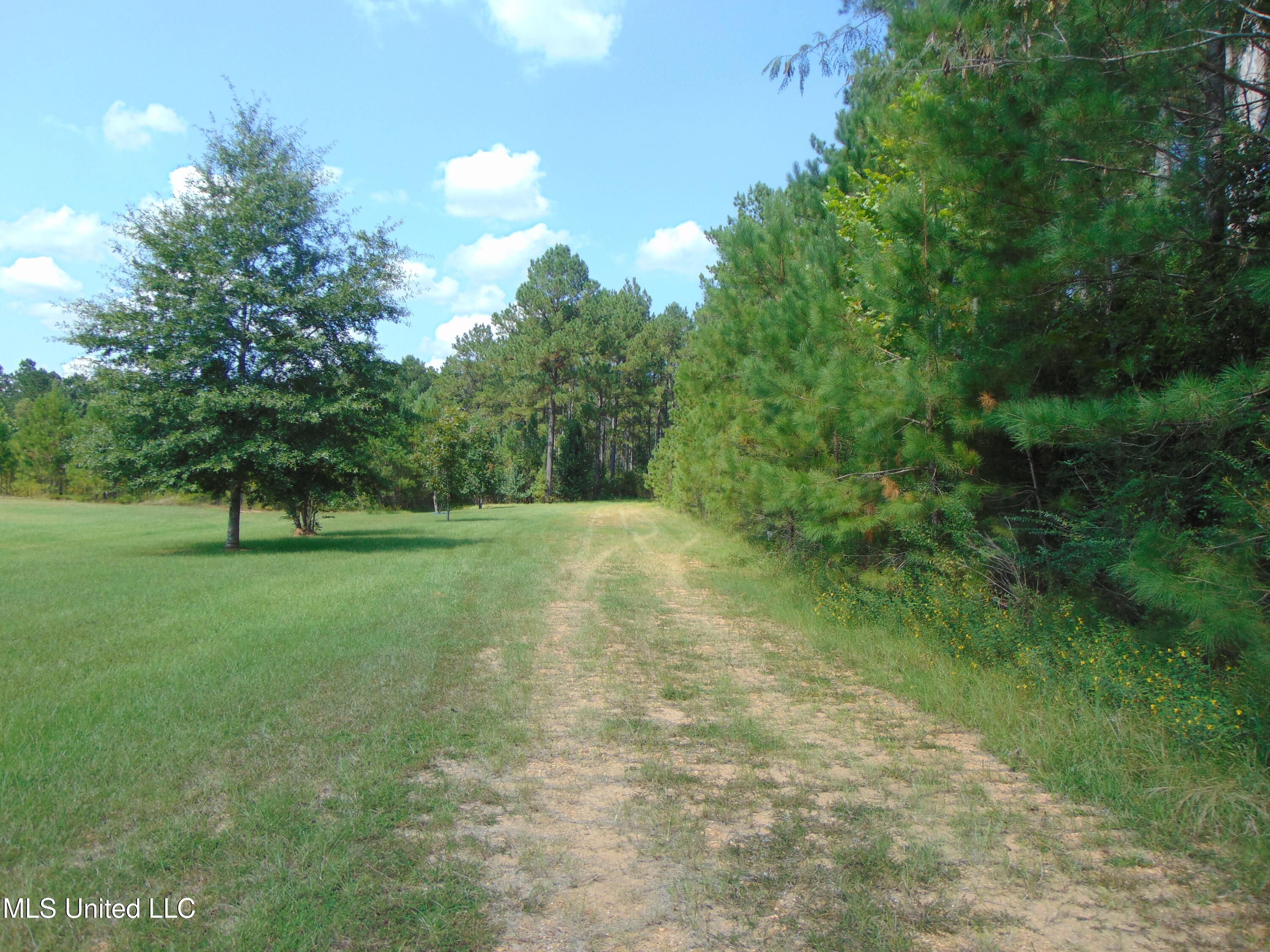 David Britt Street Wesson, MS 39191 - Photo 9 of 42 DSC05343