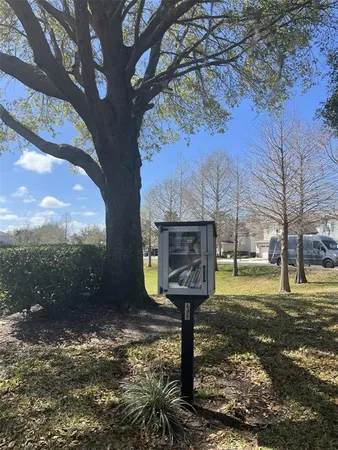 a view of a yard with large tree