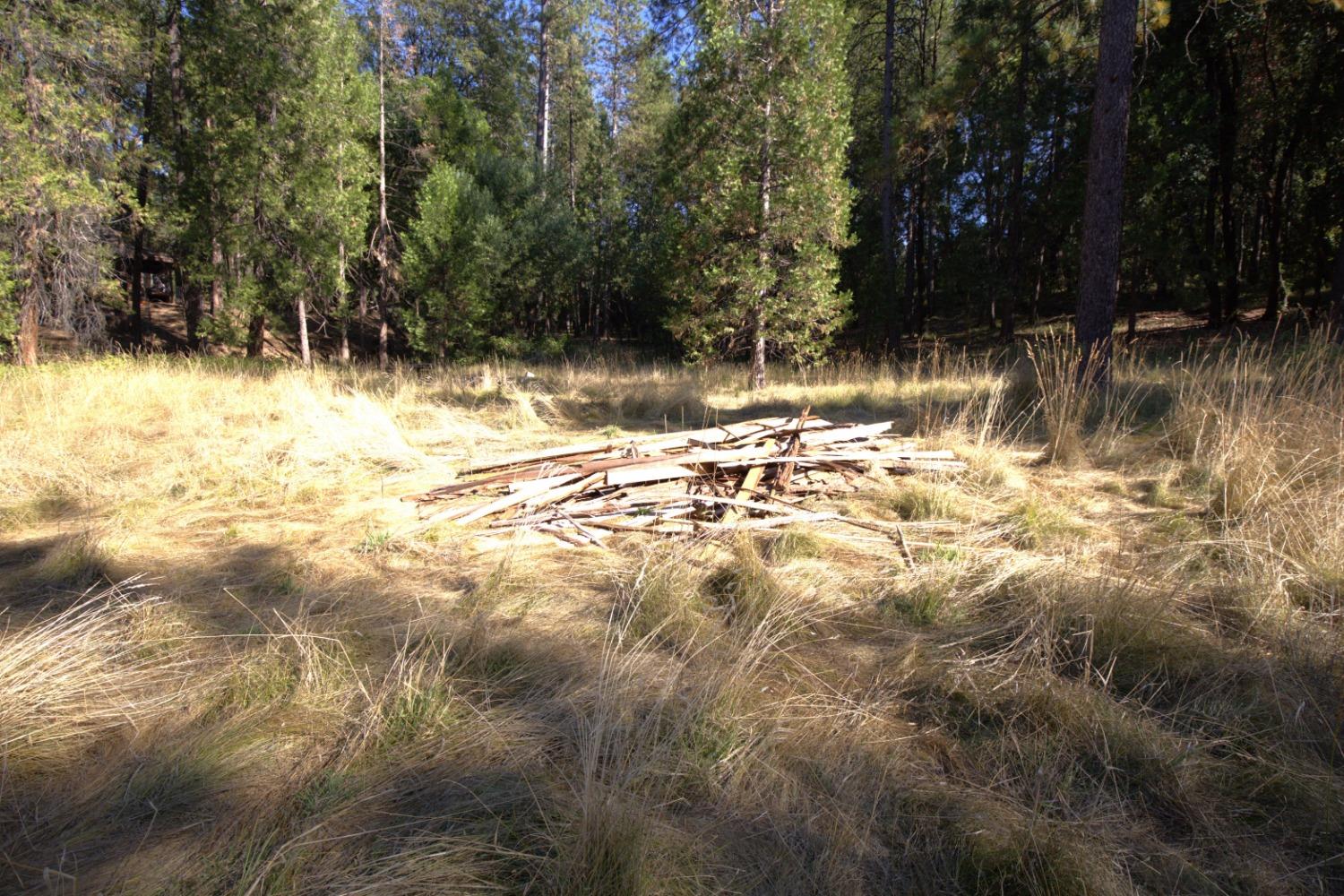 12310 Robinson Road Nevada City, CA 95959 - Photo 12 of 14