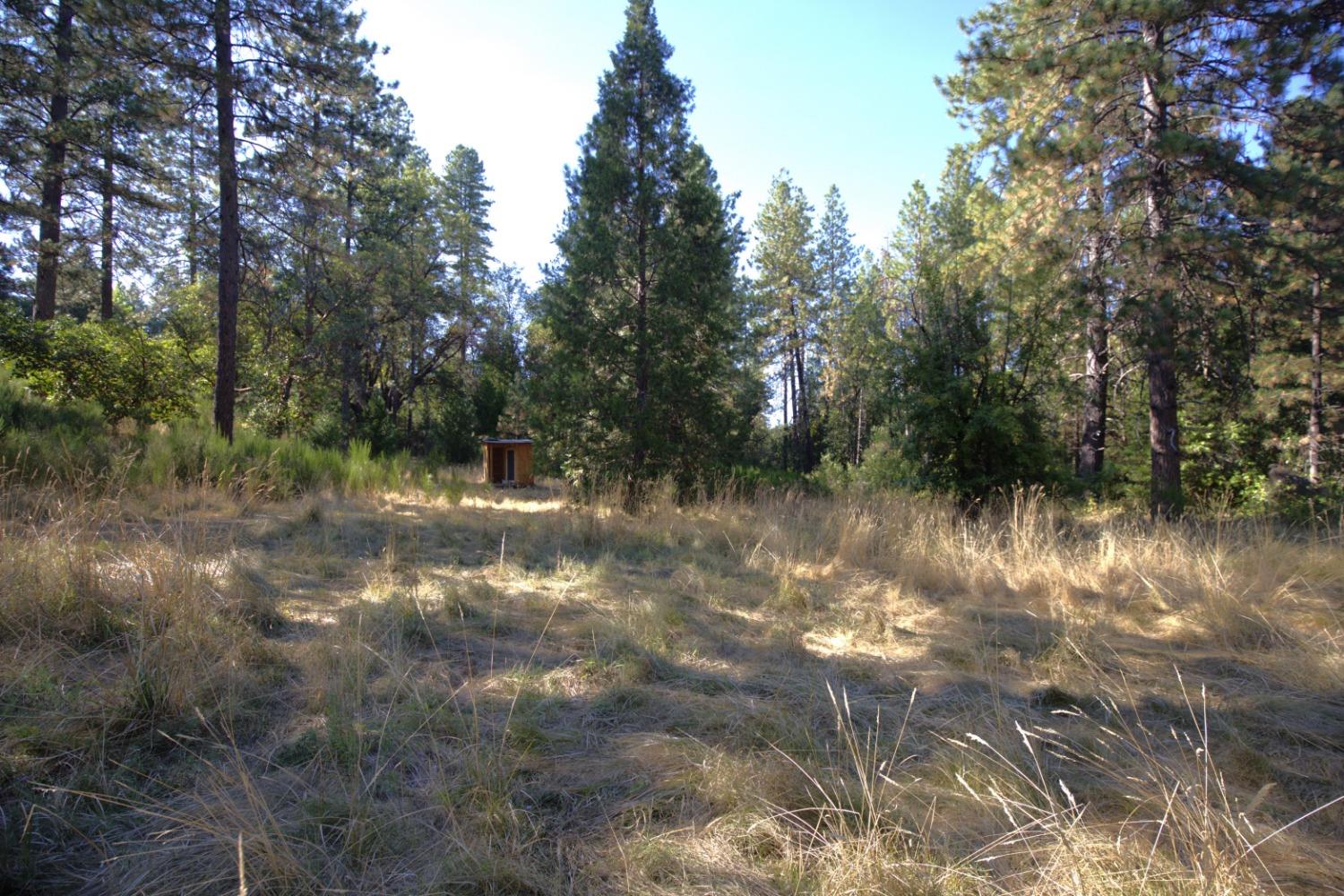 12310 Robinson Road Nevada City, CA 95959 - Photo 13 of 14