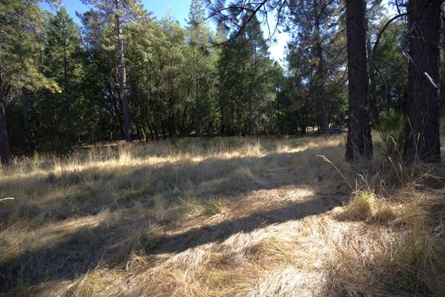 $127,500 | 12310 Robinson Road, Nevada City, CA 95959