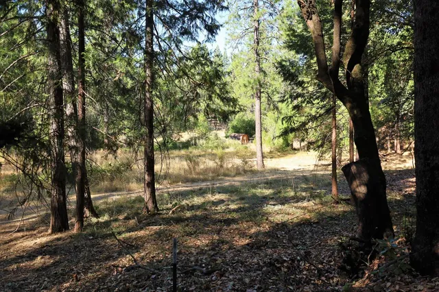$127,500 | 12310 Robinson Road, Nevada City, CA 95959