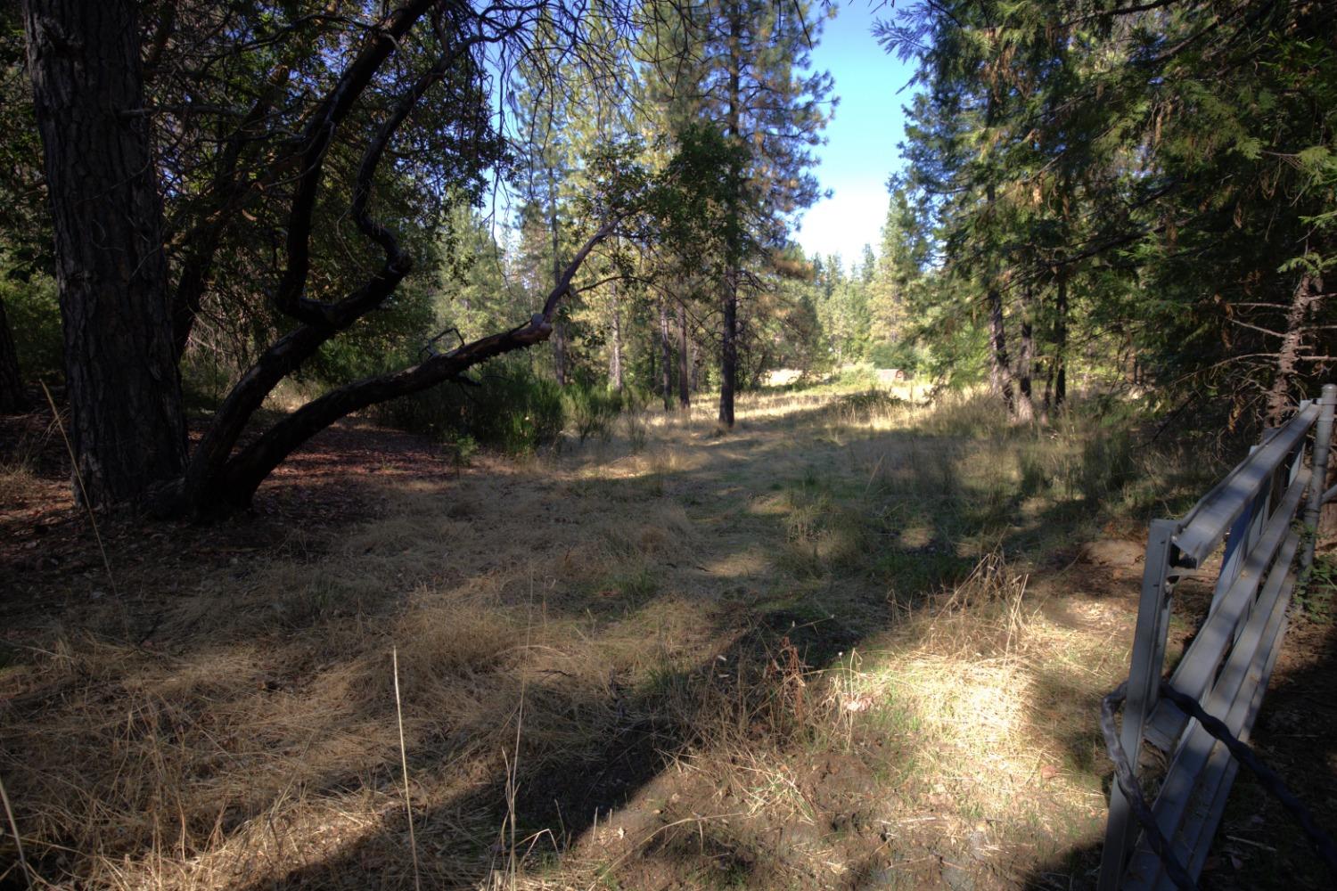 12310 Robinson Road Nevada City, CA 95959 - Photo 8 of 14