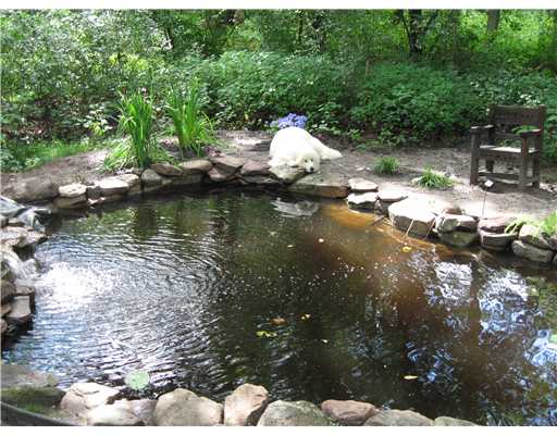 55 Linden Road Barrington, RI 02806 - Photo 8 of 12 Land/Lot. Koy pond with real fish who live there year round
