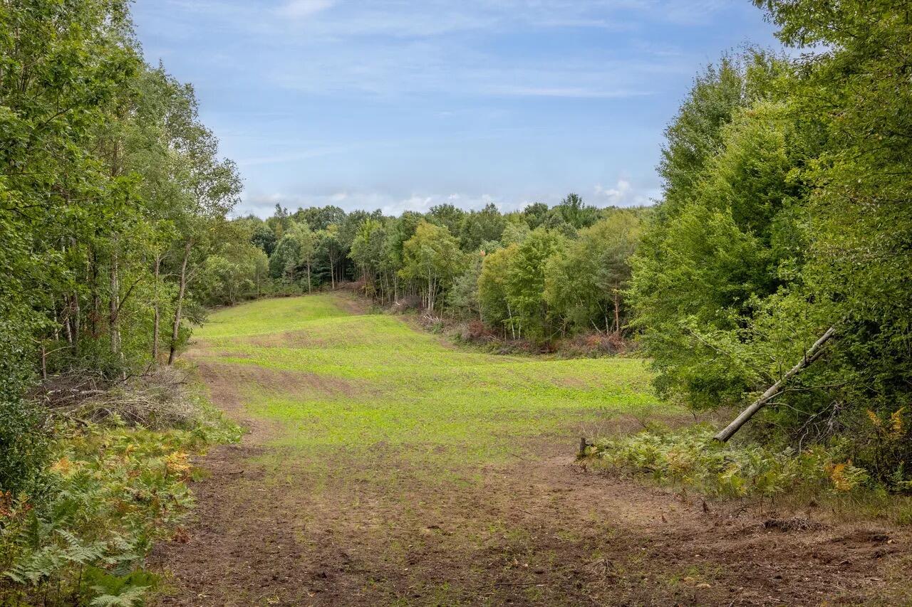 1398 12 Mile Road Remus, MI 49340 - Photo 24 of 58 Image 24