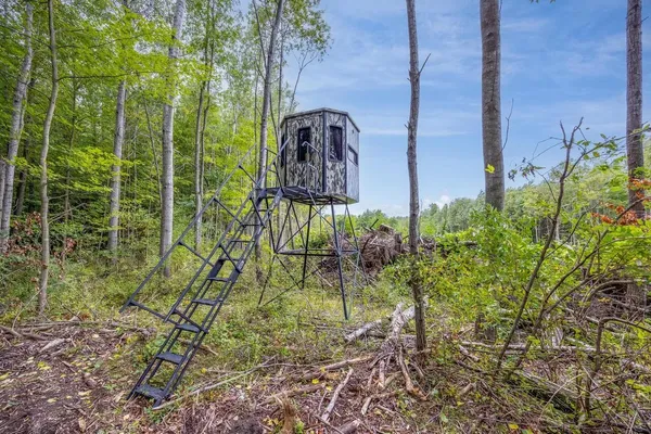 $1,899,900 | 1398 12 Mile Road, Remus, MI 49340