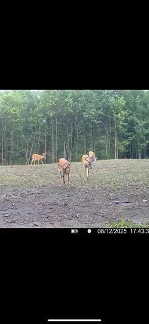 1398 12 Mile Road Remus, MI 49340 - Photo 28 of 58 Image 27