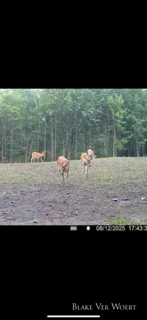 $1,899,900 | 1398 12 Mile Road, Remus, MI 49340