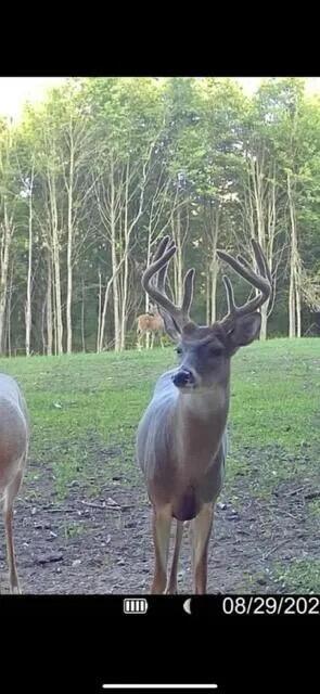 1398 12 Mile Road Remus, MI 49340 - Photo 30 of 58 Image 29