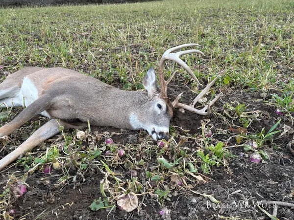 $1,899,900 | 1398 12 Mile Road, Remus, MI 49340