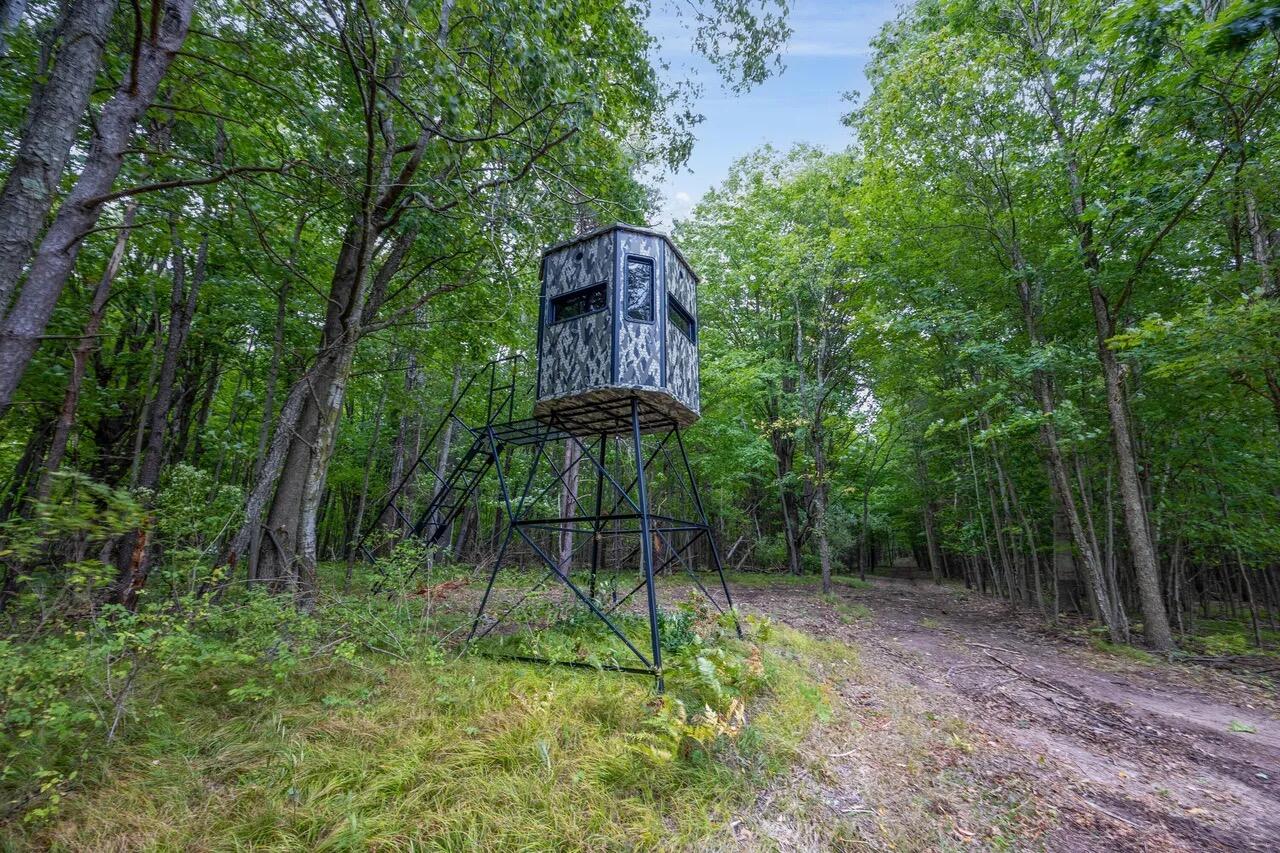 1398 12 Mile Road Remus, MI 49340 - Photo 6 of 58 Image 17