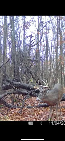 $1,899,900 | 1398 12 Mile Road, Remus, MI 49340