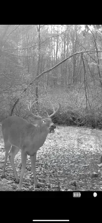 $1,899,900 | 1398 12 Mile Road, Remus, MI 49340