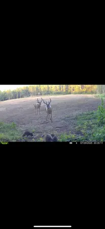 $1,899,900 | 1398 12 Mile Road, Remus, MI 49340