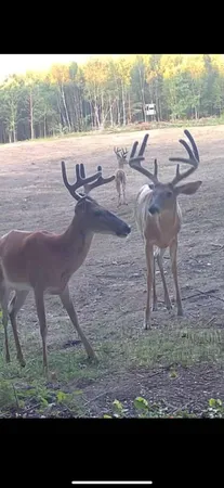 $1,899,900 | 1398 12 Mile Road, Remus, MI 49340