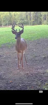 $1,899,900 | 1398 12 Mile Road, Remus, MI 49340