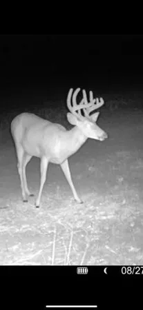 $1,899,900 | 1398 12 Mile Road, Remus, MI 49340