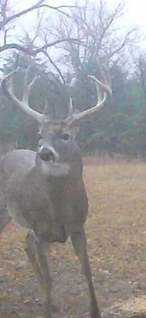 $1,899,900 | 1398 12 Mile Road, Remus, MI 49340