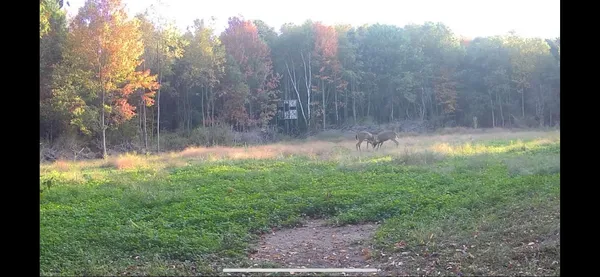 $1,899,900 | 1398 12 Mile Road, Remus, MI 49340