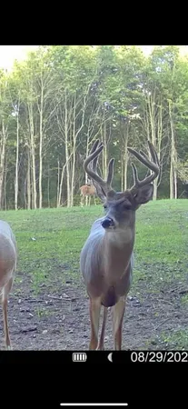 $1,899,900 | 1398 12 Mile Road, Remus, MI 49340