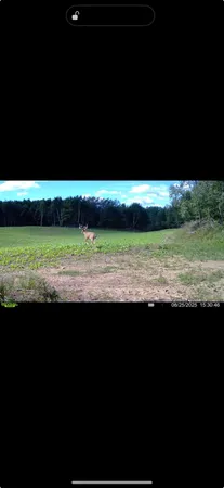 $1,899,900 | 1398 12 Mile Road, Remus, MI 49340