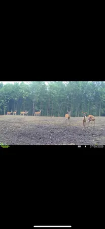 $1,899,900 | 1398 12 Mile Road, Remus, MI 49340