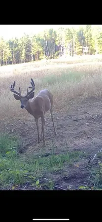 $1,899,900 | 1398 12 Mile Road, Remus, MI 49340