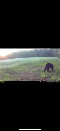 $1,899,900 | 1398 12 Mile Road, Remus, MI 49340