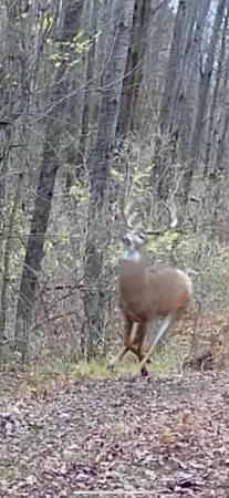 $1,899,900 | 1398 12 Mile Road, Remus, MI 49340