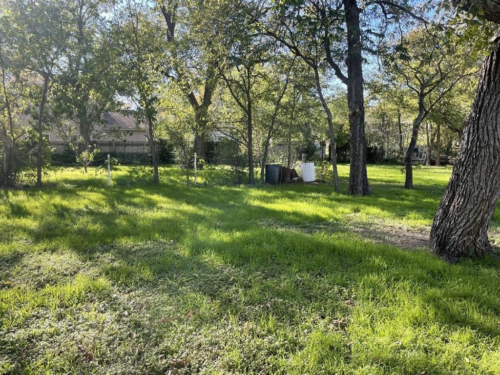 588 South Minter Street Stephenville, TX 76401 - Photo 12 of 12 a view of a backyard with large trees
