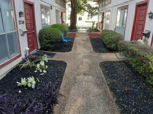 a view of a garden filled with plants