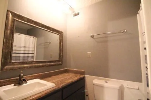 a bathroom with a sink and a mirror